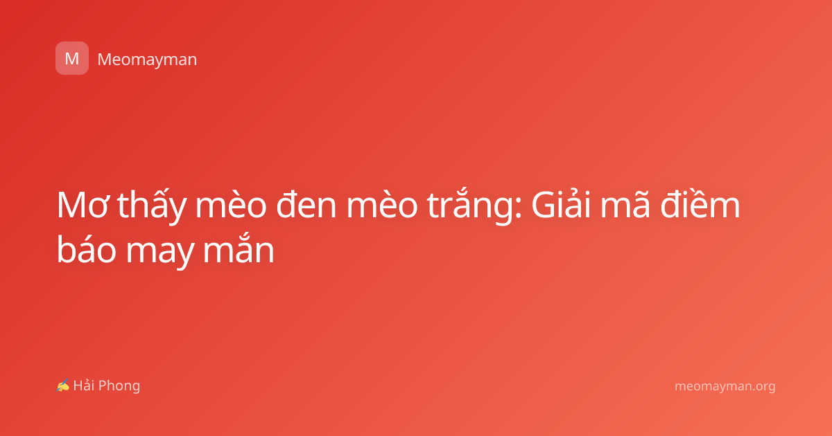Mơ thấy mèo đen mèo trắng: Giải mã điềm báo may mắn